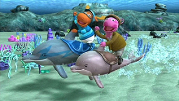 The Great Dolphin Race