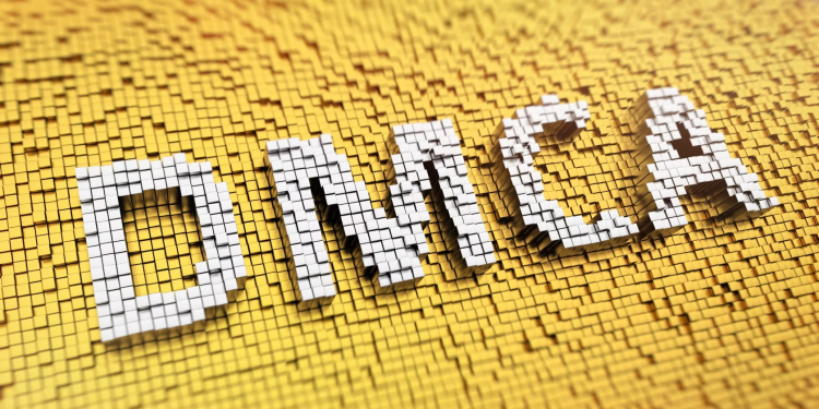 DMCA Copyright